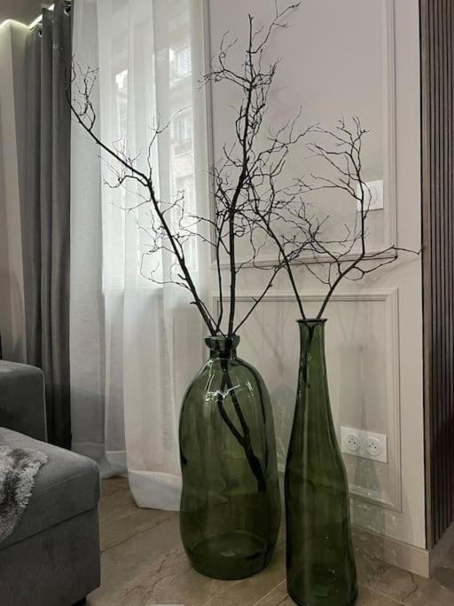 Luxueux Appartement Pres De La Cathedrale 스트라스부르 외부 사진