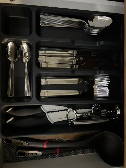 Luxueux Appartement Pres De La Cathedrale 스트라스부르 외부 사진